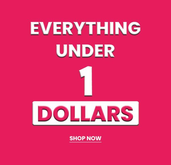 best one dollar store online pakistan | Everything is in One Dollar